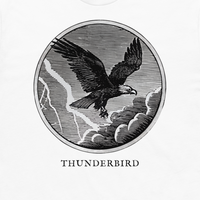 Thunderbird engraved cryptid t-shirt — crosshatch medallion design close-up