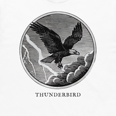 Thunderbird engraved cryptid t-shirt — crosshatch medallion design close-up